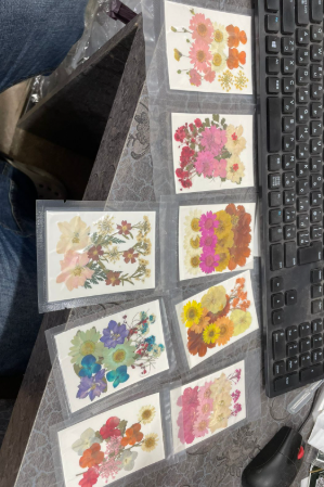 Pressed Flowers