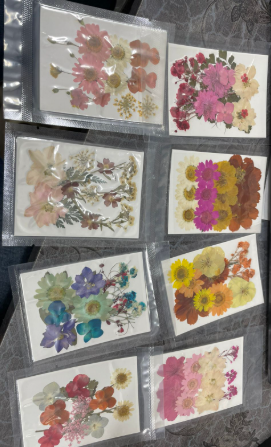 Pressed Flowers