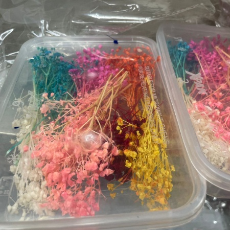 Baby Breath Flowers Box Multy Color