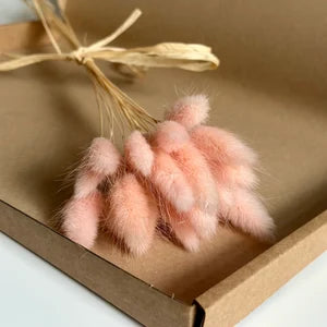 Bunny tail box
