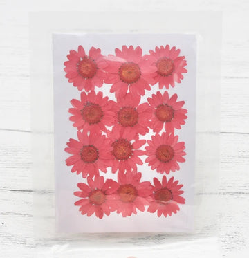 Daisy flowers stickers