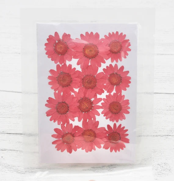Daisy flowers stickers