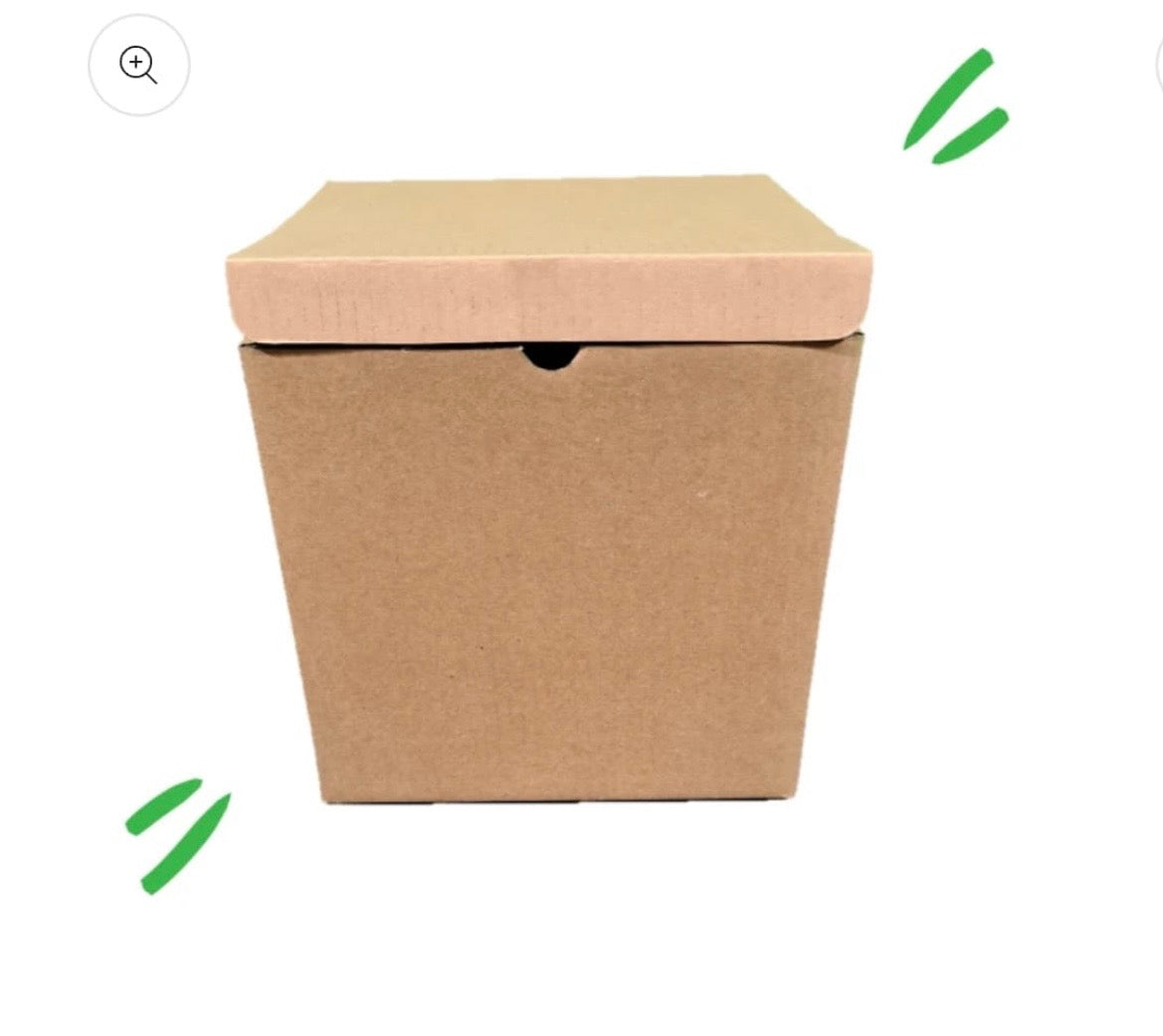 10x10x10 Brown Box